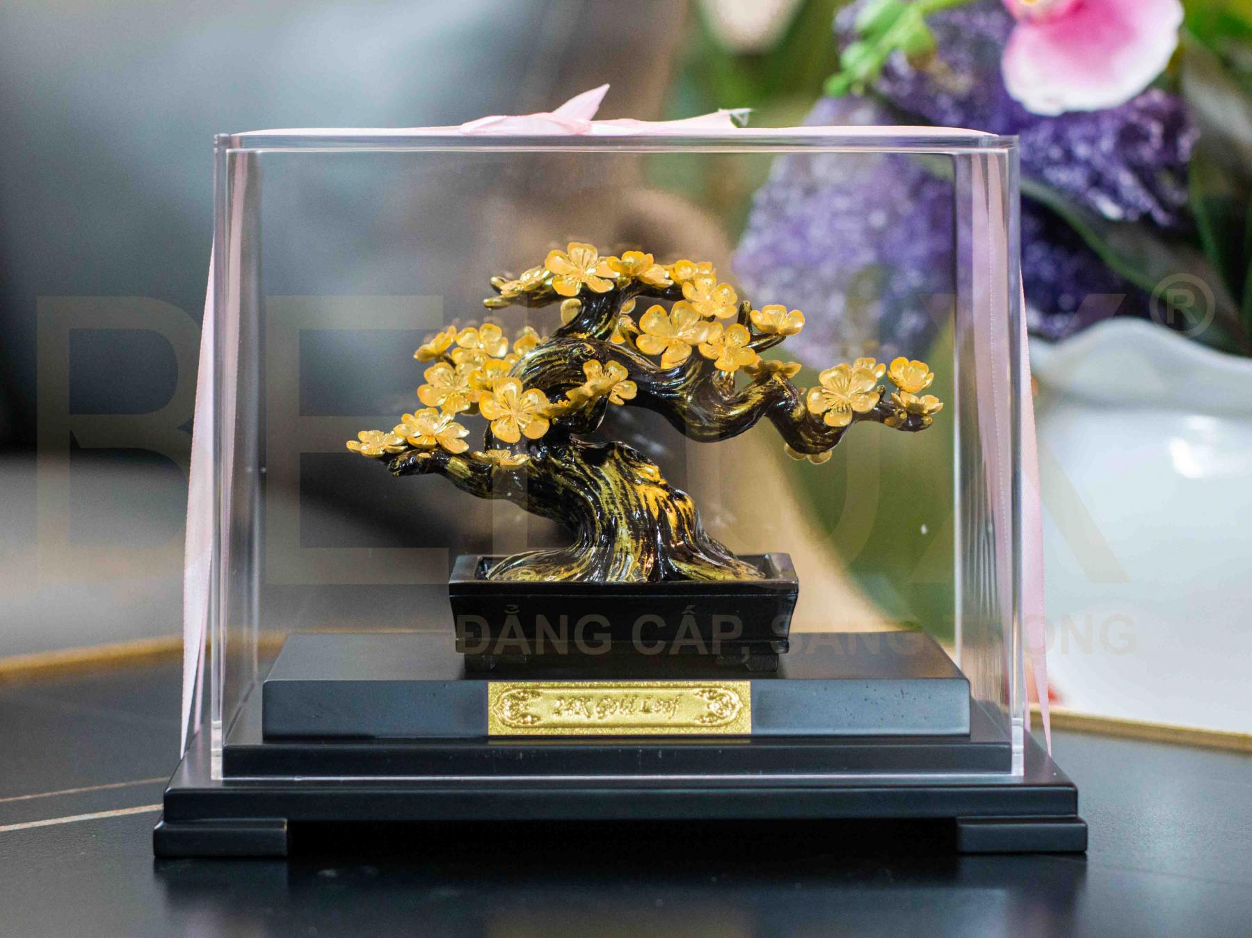 Ảnh Cây Mai Bonsai Dát Vàng 24k