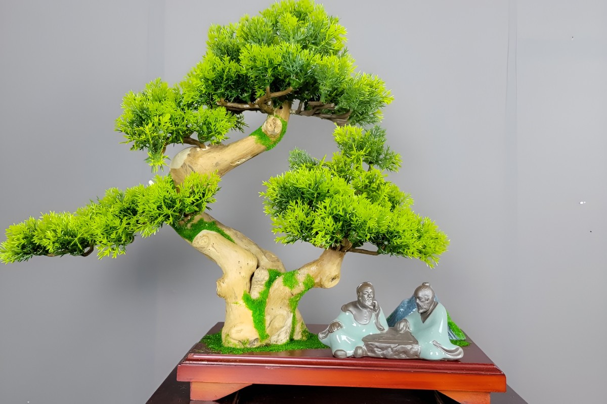 Một cây cảnh nhỏ để bàn mang lại may mắn và tài lộc cho sếp