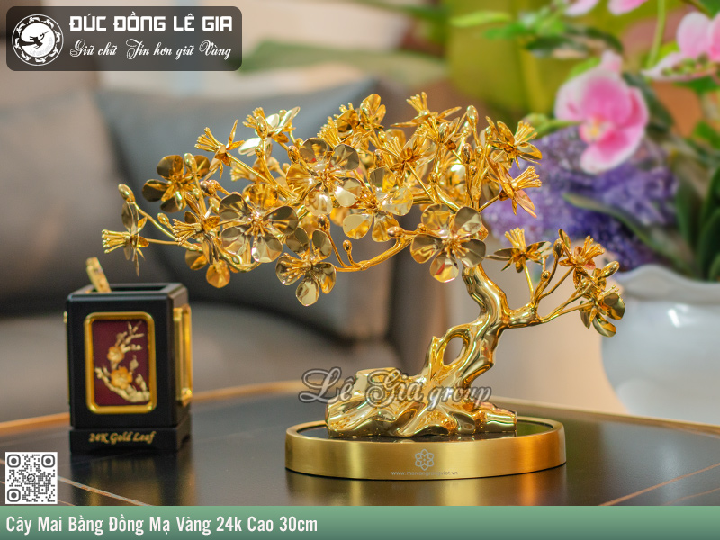 Cây mai để bàn tượng trưng cho sự phát triển, thịnh vượng