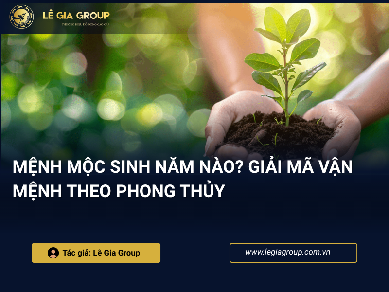 Mệnh mộc sinh năm nào? Giải mã vận mệnh theo phong thủy thumnail