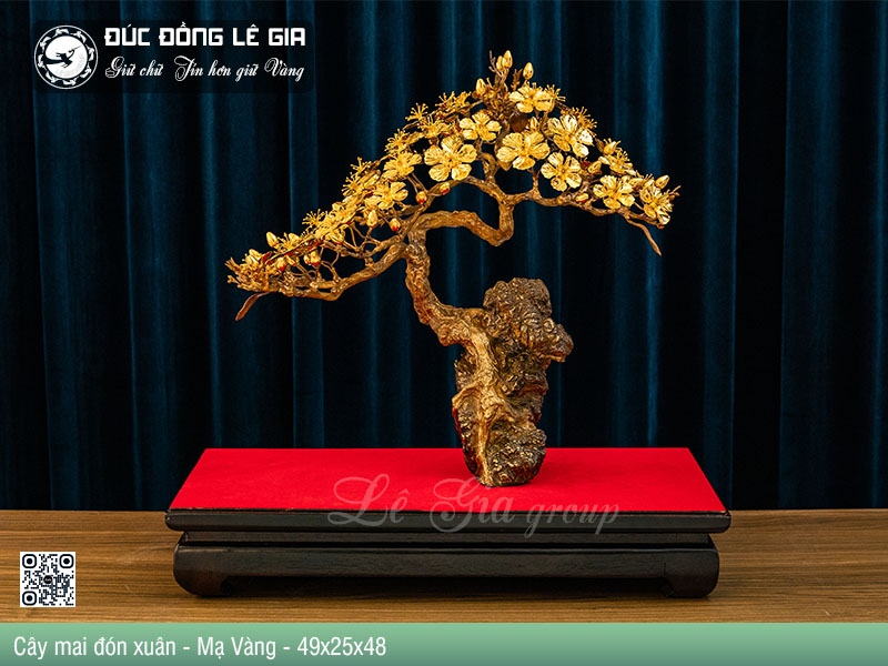 Cây mai đón xuân Bằng Đồng Mạ Vàng - 49x25x48
