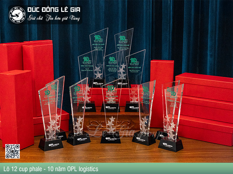 Lô 12 cup phale - 10 năm OPL logistics